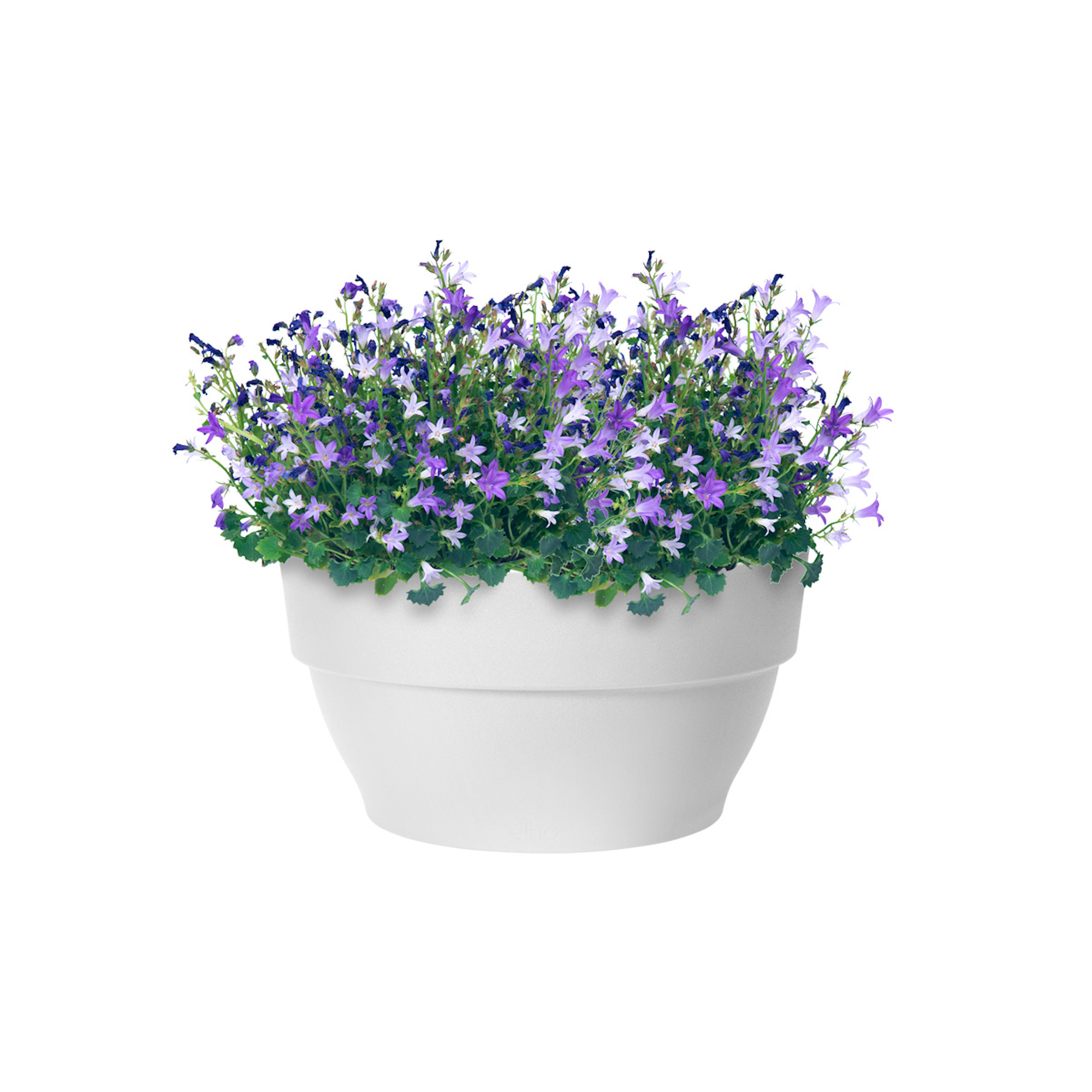 b571c9c2817bedef45ddfae1ab5cb606