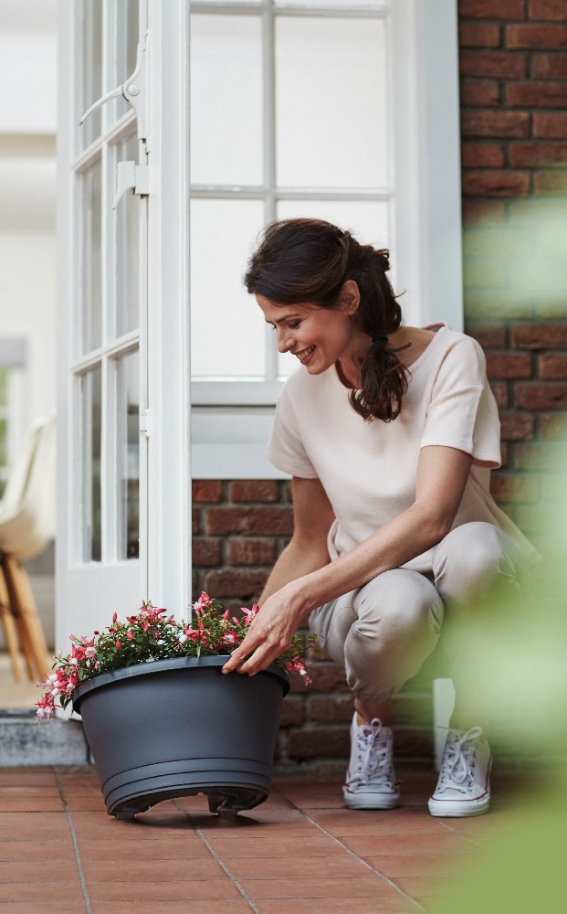 92c2452fa0c852a062c04977bcc9c7f8