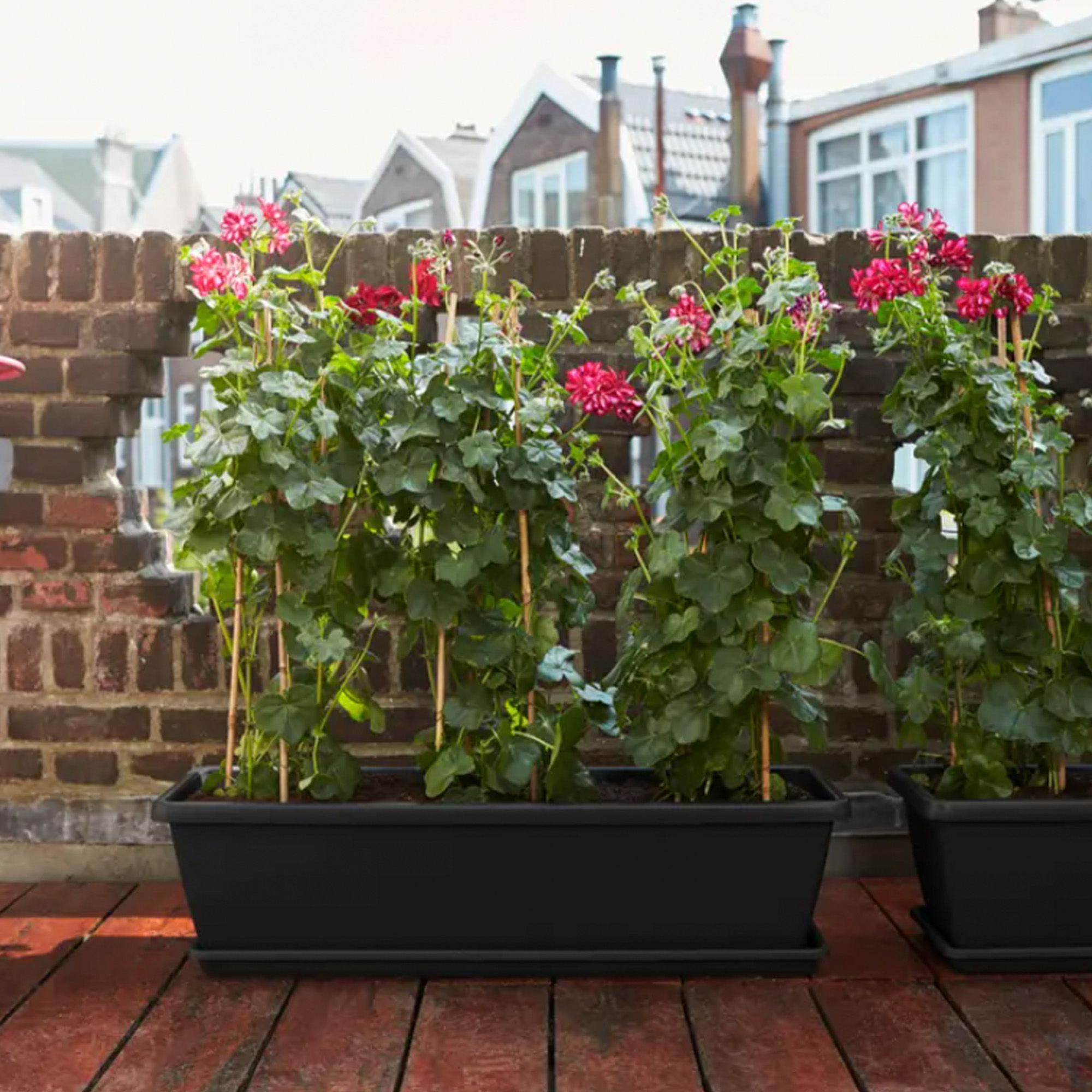 d462f63d0208ca1a7d7b8ccd73a6b1d0