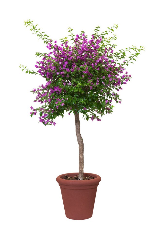 571e1b37d349edd9775b687c5d1b7eb5