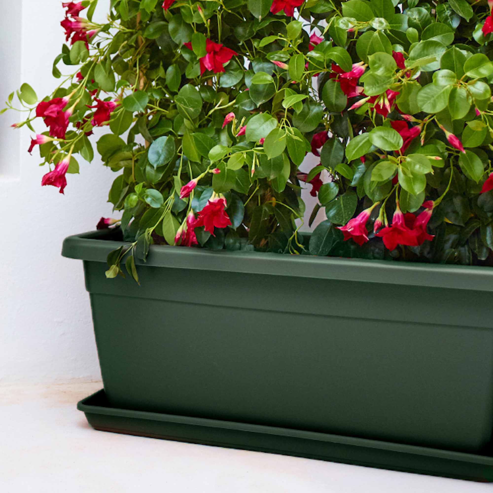 6a86bf62b2597fb538c9b0ac57ad7a62