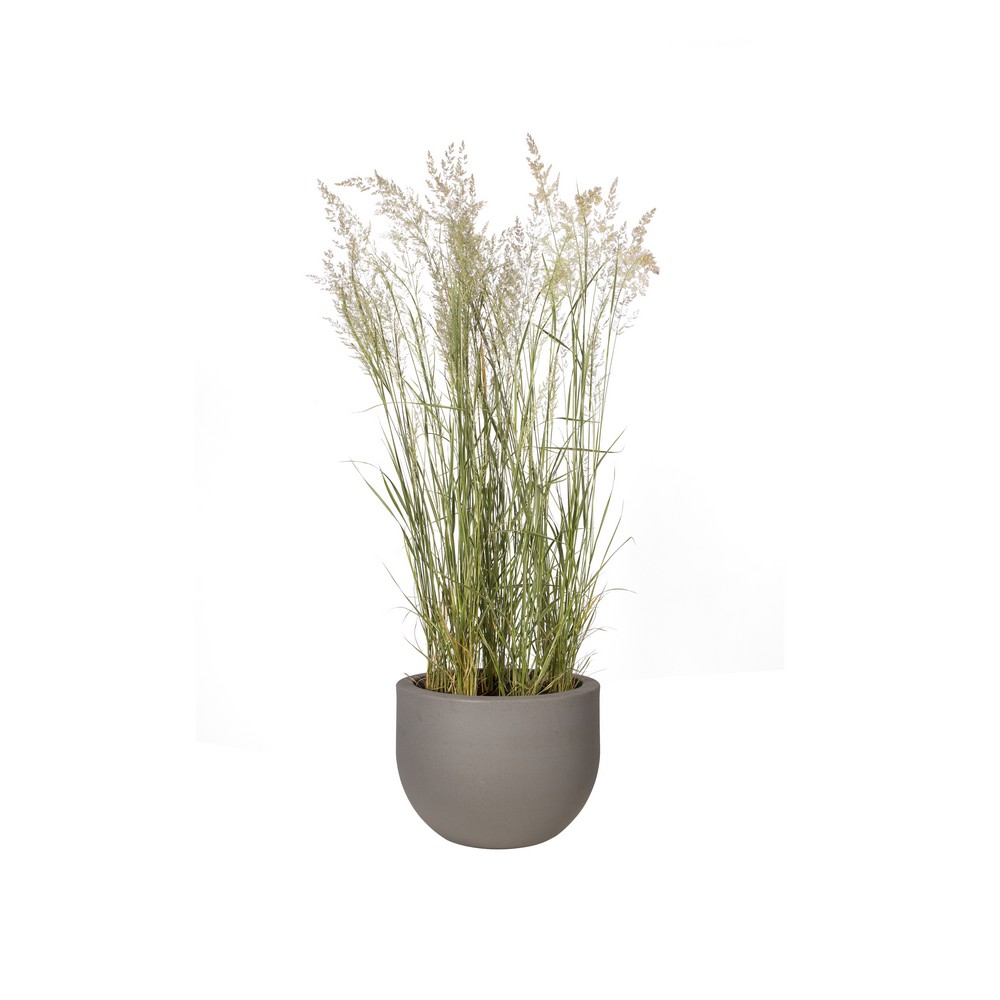 55046092882bfe973c6152a57407dec3