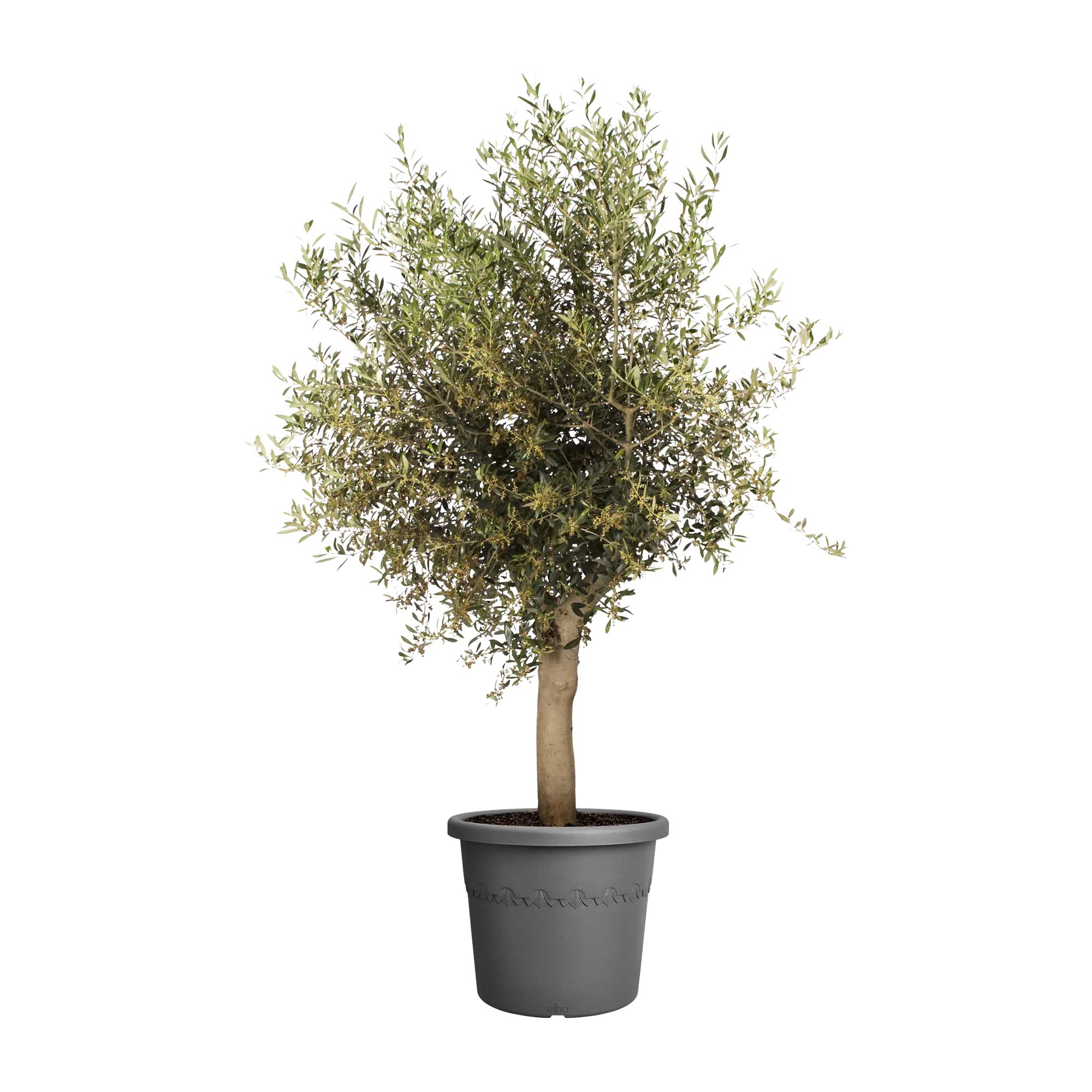 3395d1c8e90bdfa1850b3cf44ad5f83a