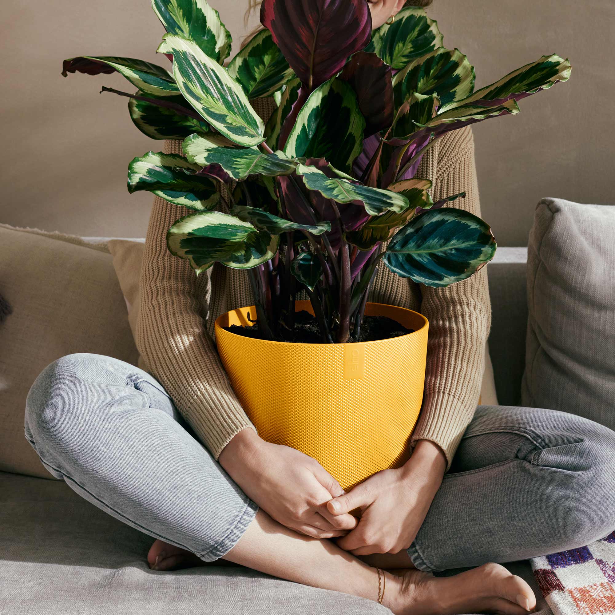 5a02b867012d32778d046eef876c686c