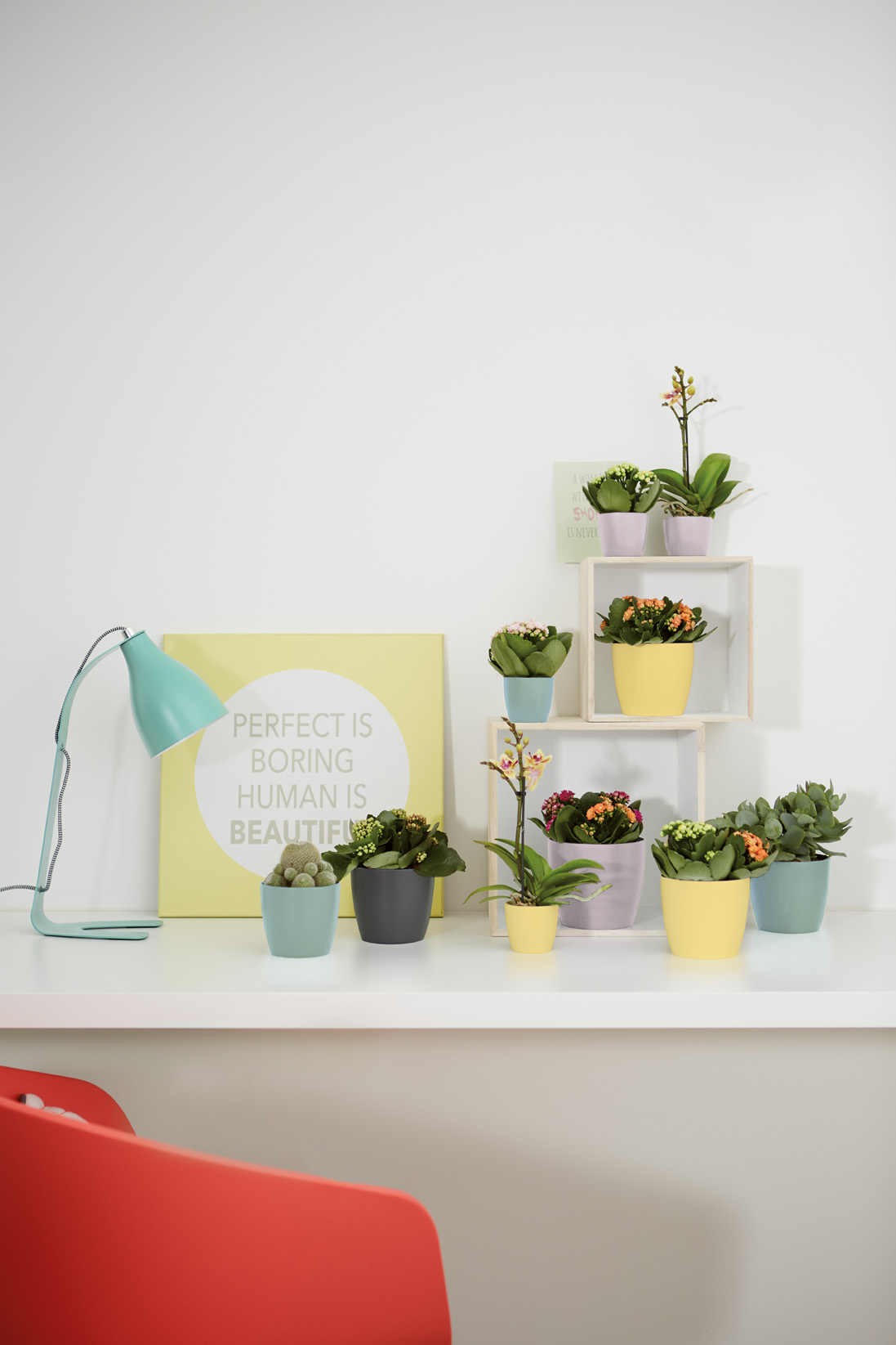 4c0c048c3300d7b3eb12a85cc61e044d