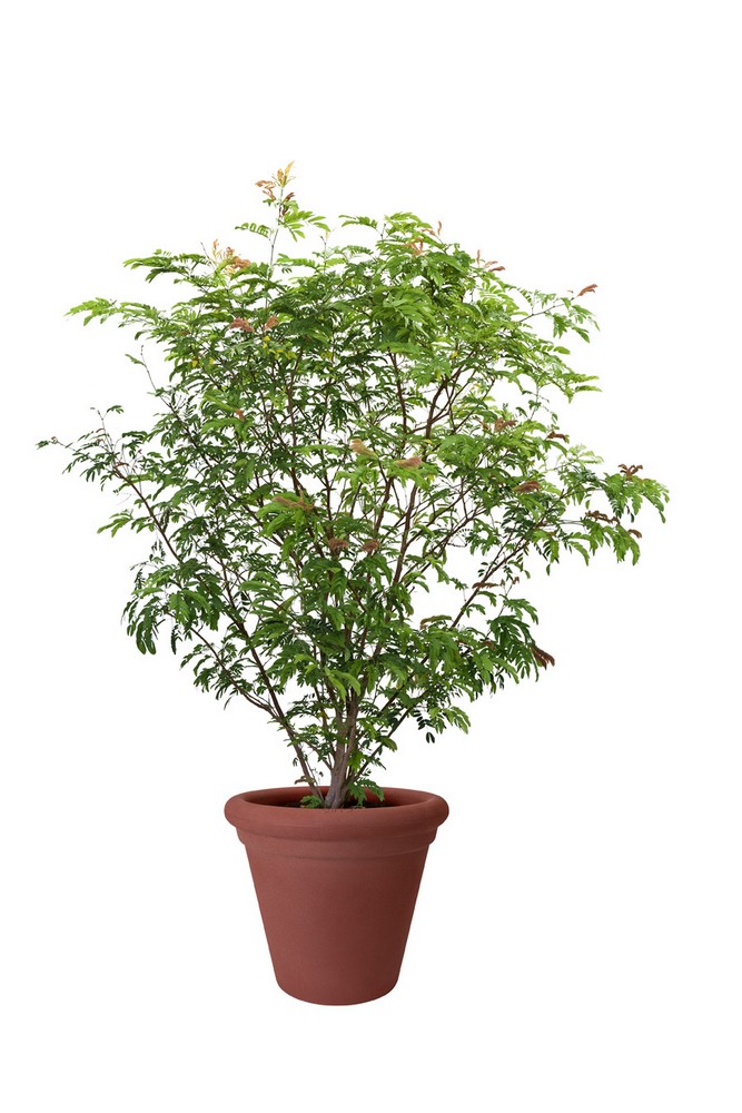 d621c340093944f526651855eb261b8d