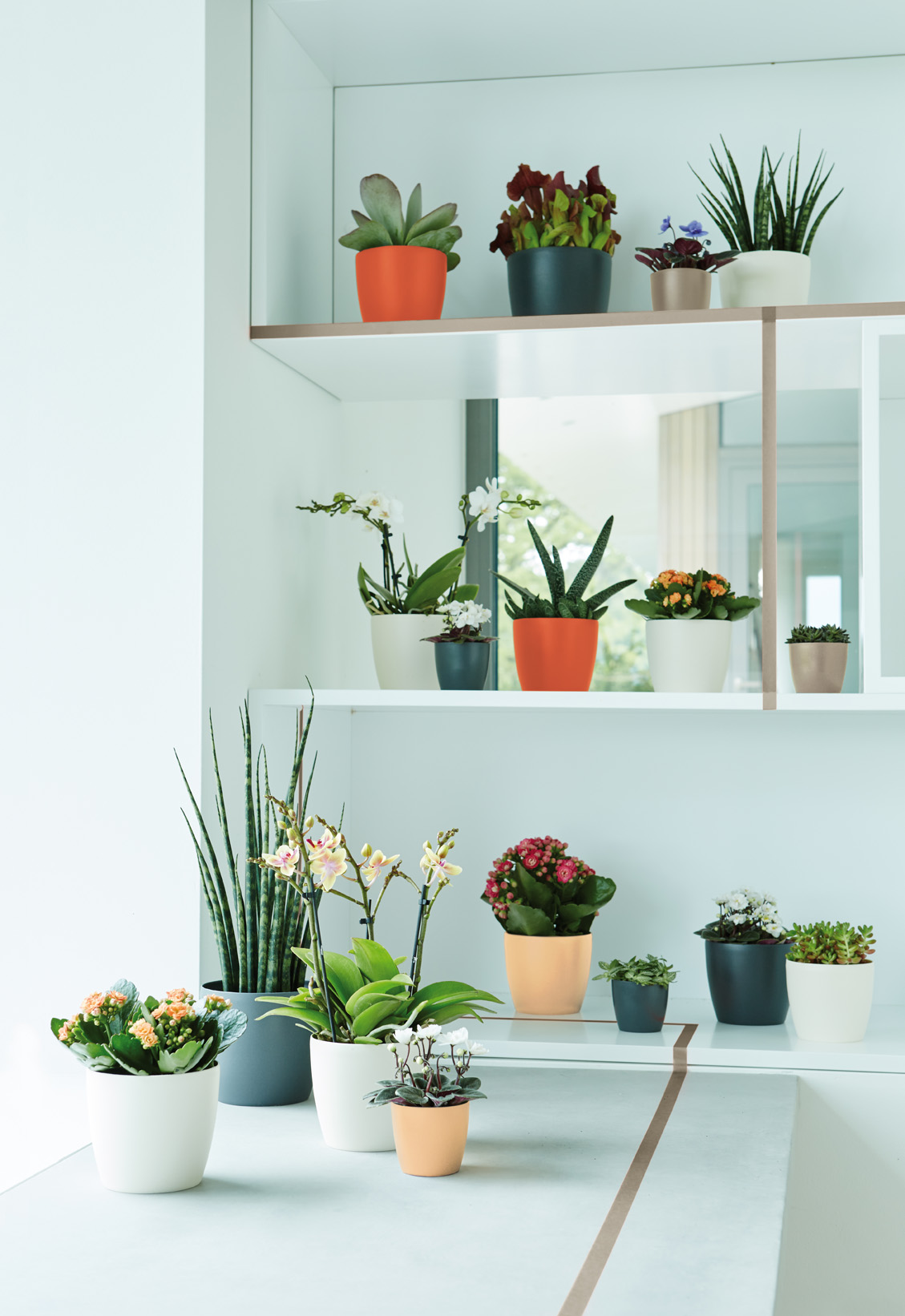 410473cad9a4ddf1f0c765d23a05cf8e