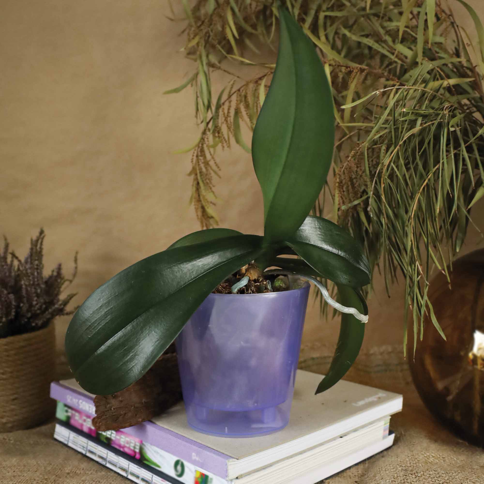 5dd37fb8b204f68939665a4c2e8d3764