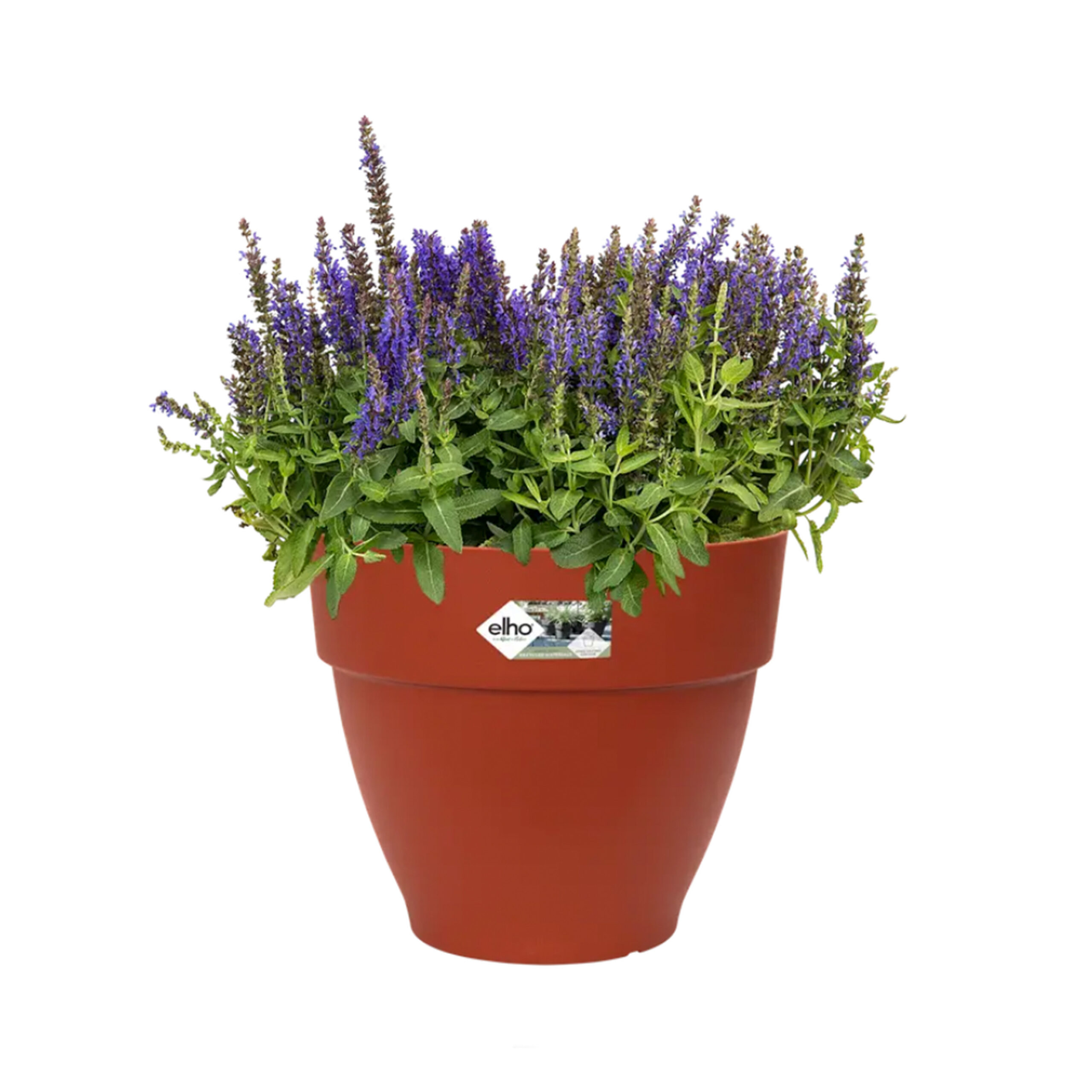 a8cd9f3689e7440c51edde300bc1f1d1