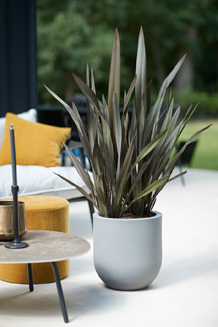 c5ca6c07e83837acb803591e5e8f681a