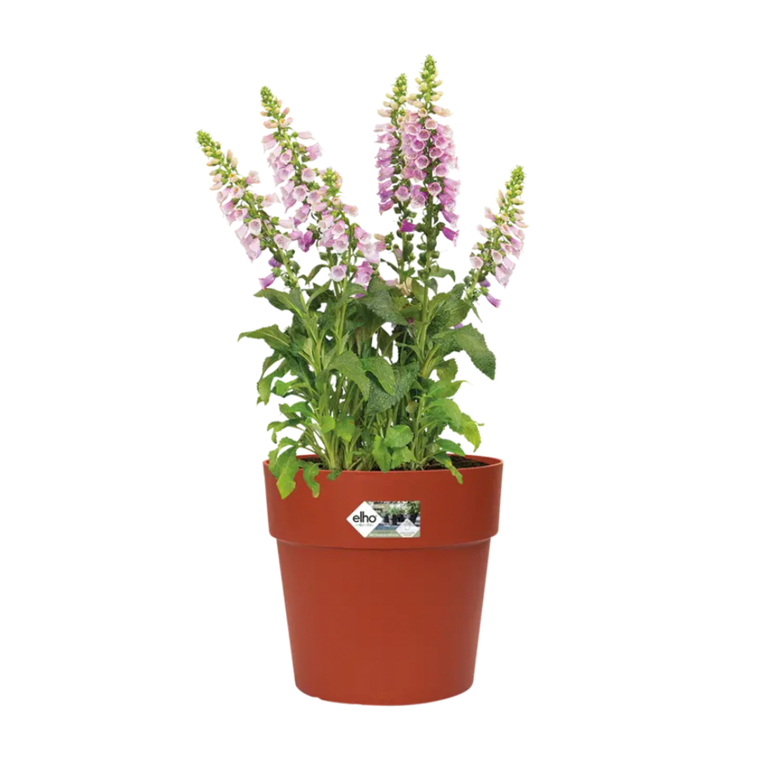 34efff478b5bfd39cf0beccbb2283e88