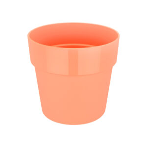 a3bb7c22c4e68bf82d7e914c069656c0