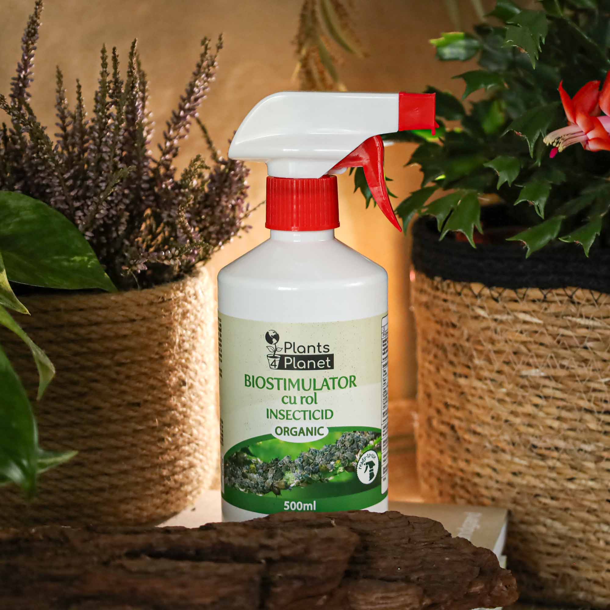 9090aad8d00a5822cc0ec4896bbb0c6a