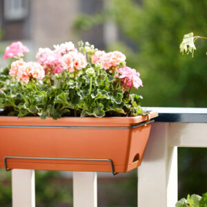 1c80e825169b0ab2af86d1ebd0ca2221