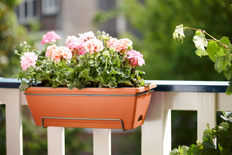 1c80e825169b0ab2af86d1ebd0ca2221