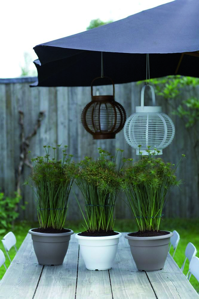 5b59bccc00ab6b4a6b645867410f1154