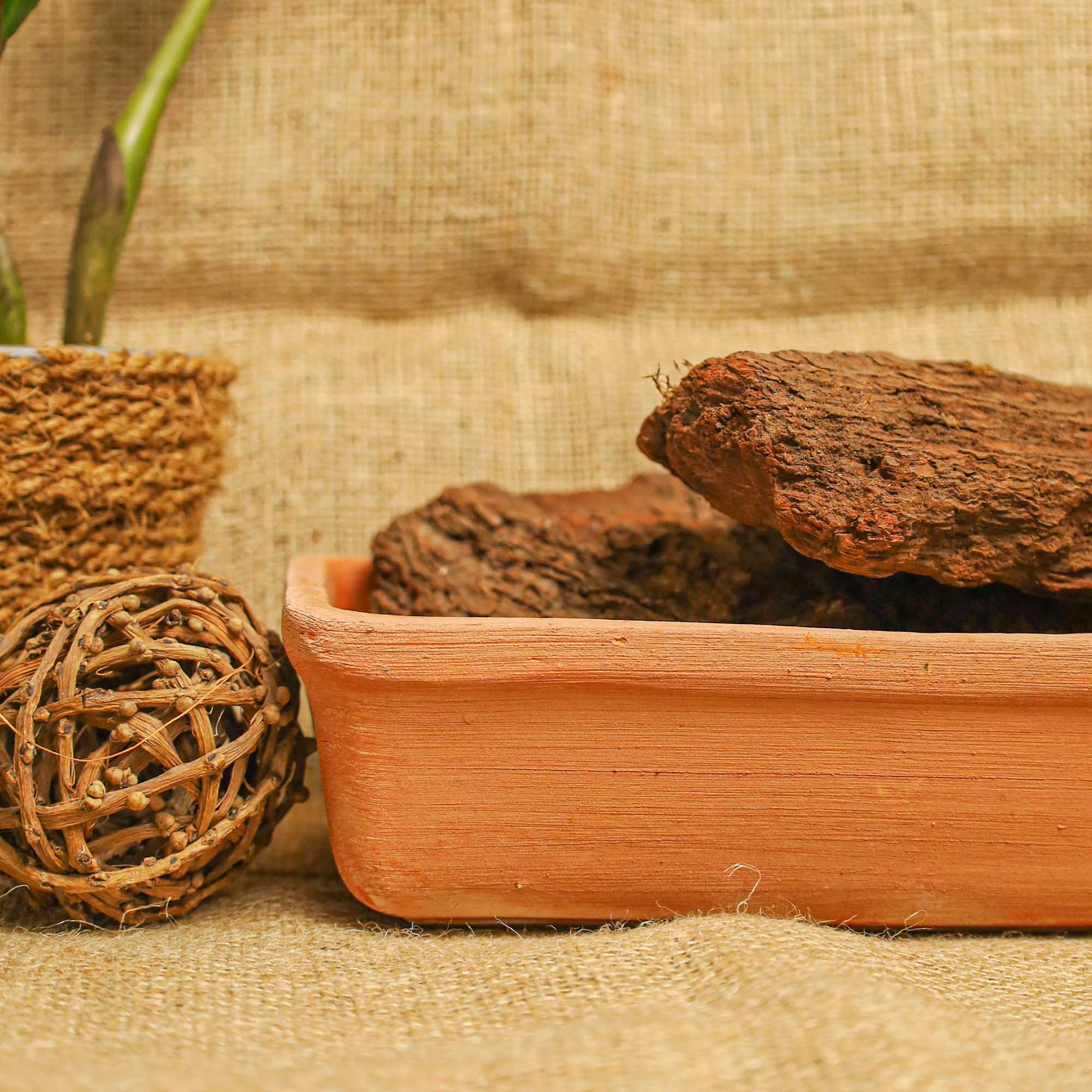 6e42fc6b4b2b6b74df583a6d87ce3850