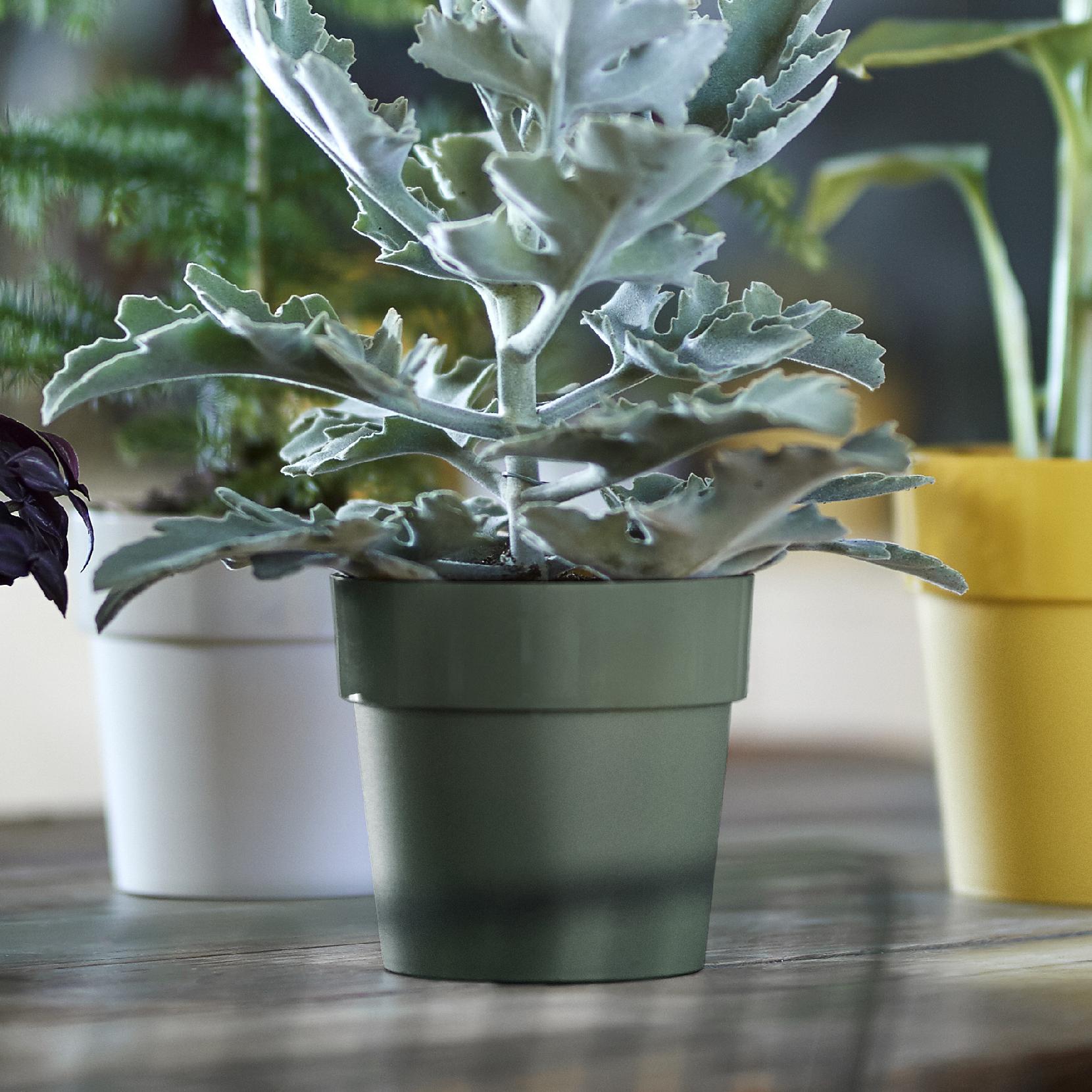 43c1ddce54c37ae9c66ca058031ca8e1