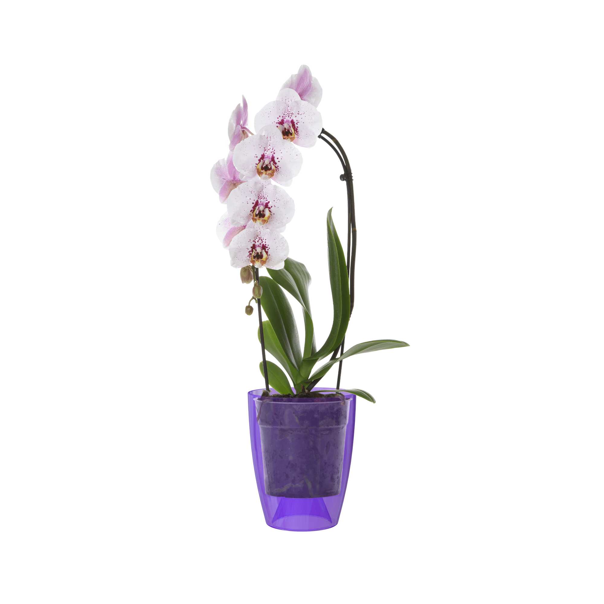 a7d0f9875aba9f6d76c98395fca74b0f