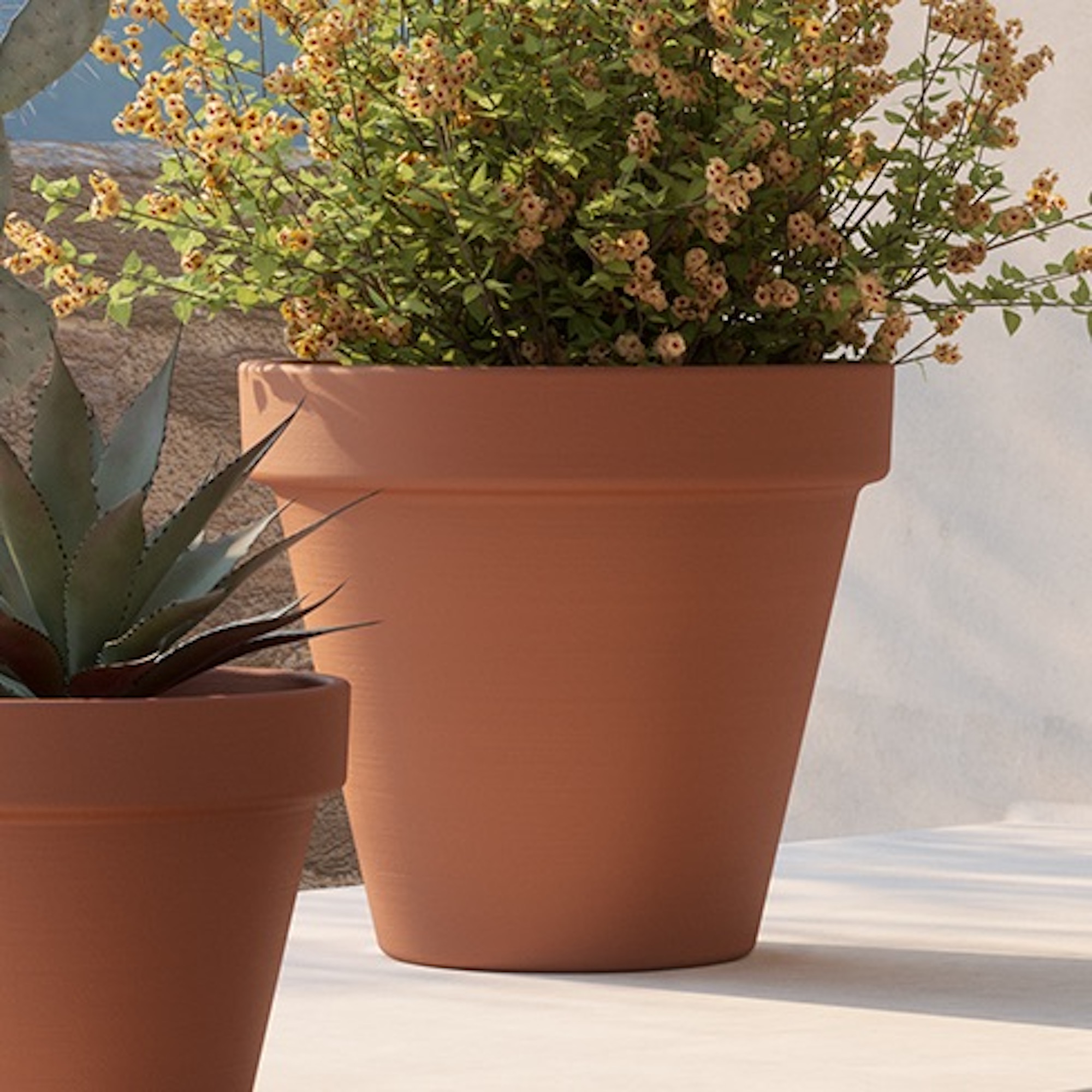 deb0c791c8d6de9ccd31452a4c4df95a