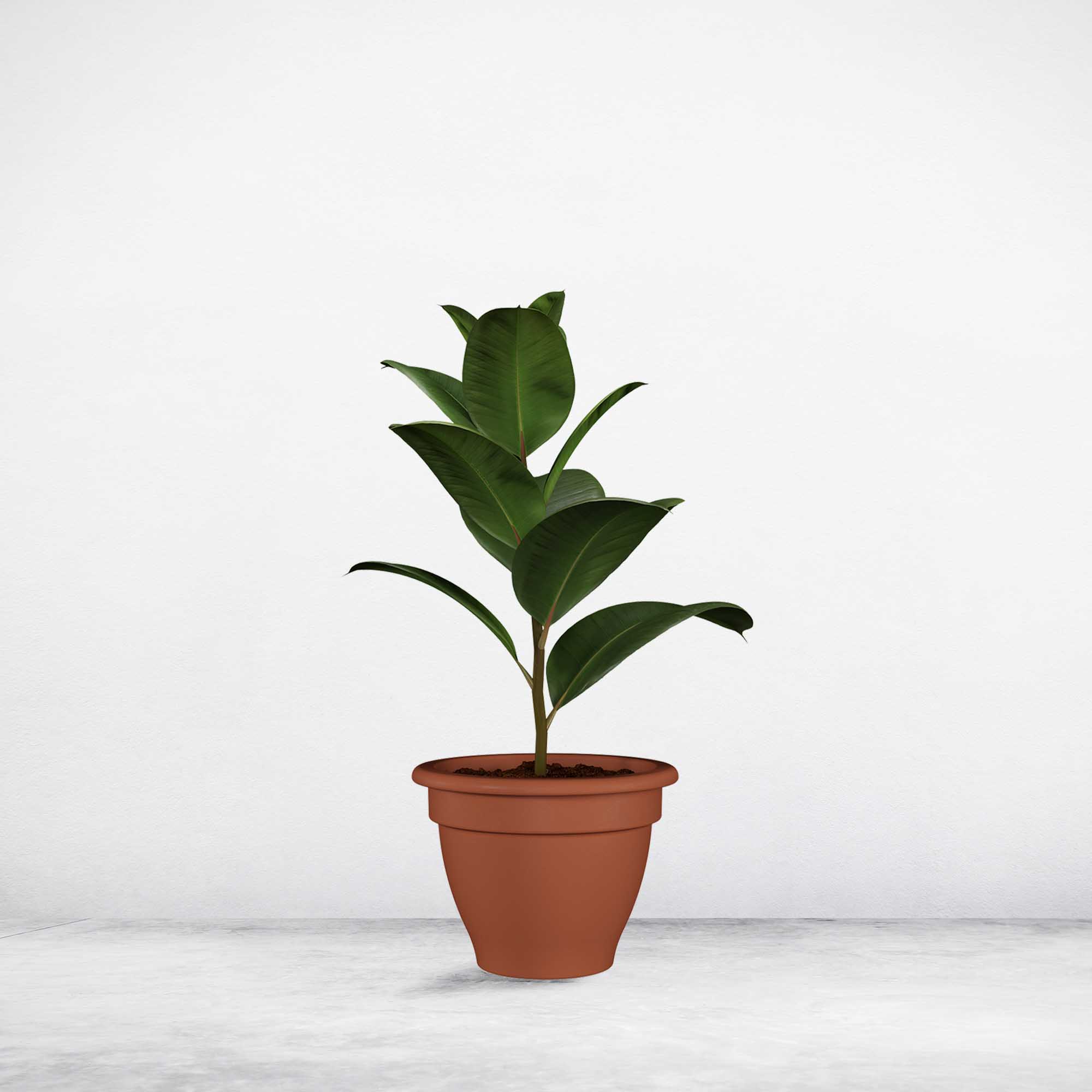 0d8b6bd66c572b08b84d5afec8e6c484