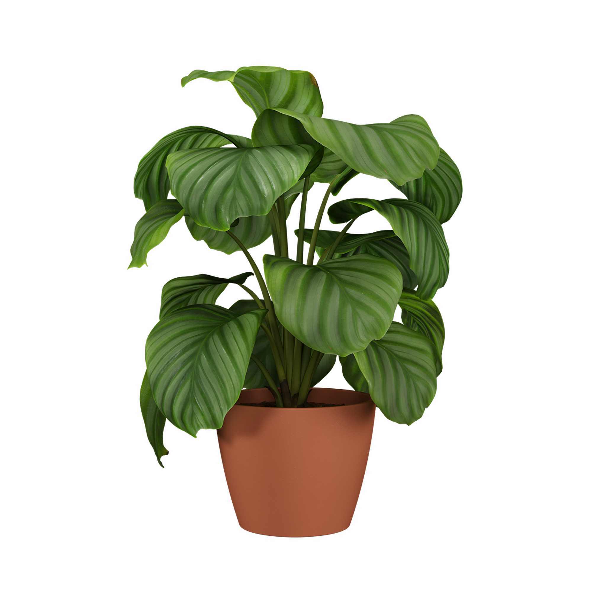 67abef5971d2ce8702a228cf88e5cb74