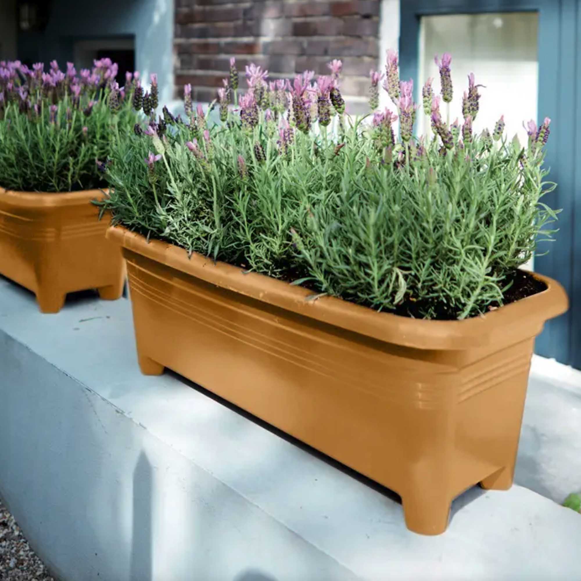 6032b4c3346c0f781a2565a04438fd5d