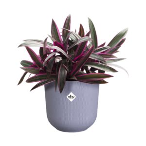 f63a7eccd4af164e0286c9ed5d8bb620