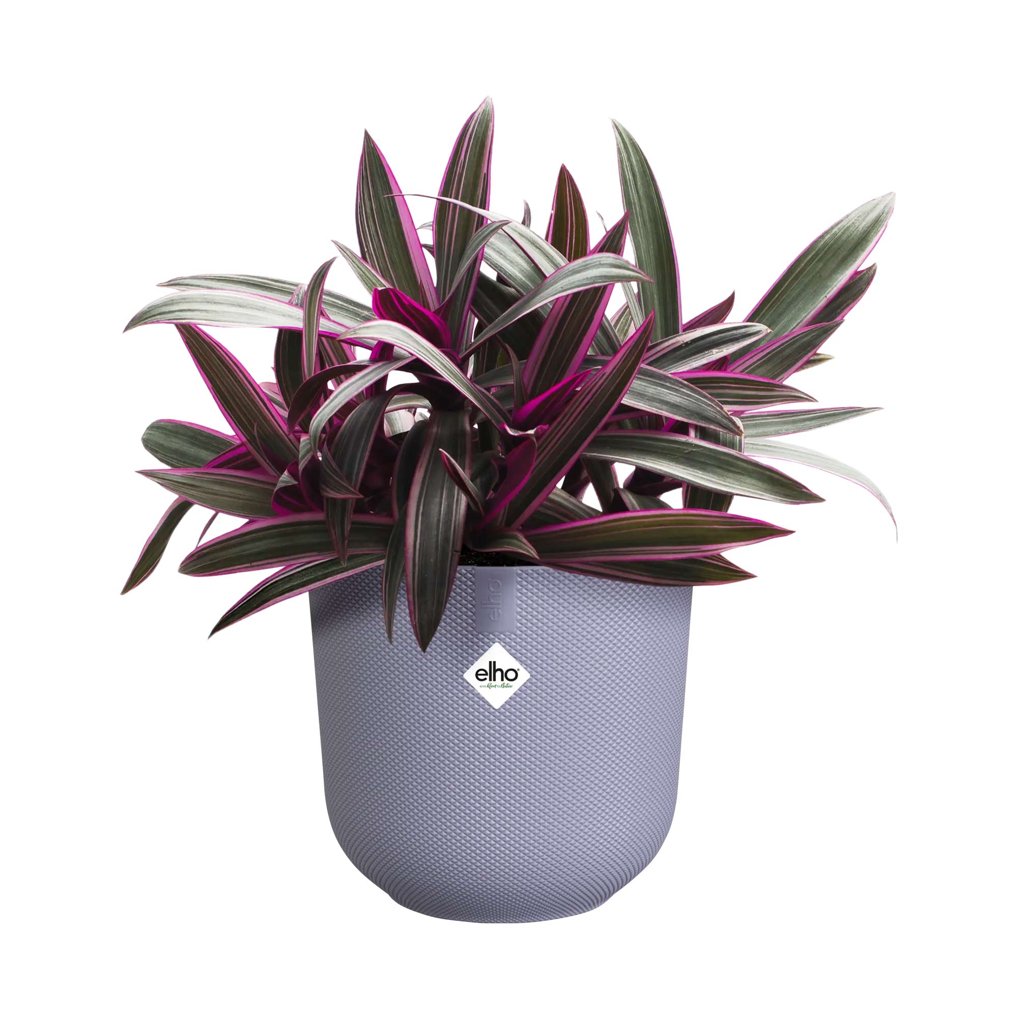 f63a7eccd4af164e0286c9ed5d8bb620