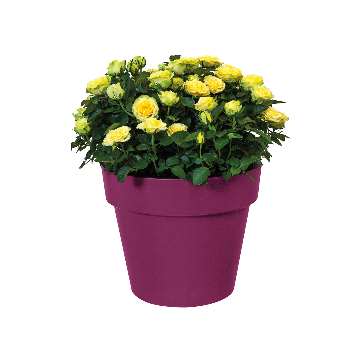 b7d96b8c152099e42b037234f680be03