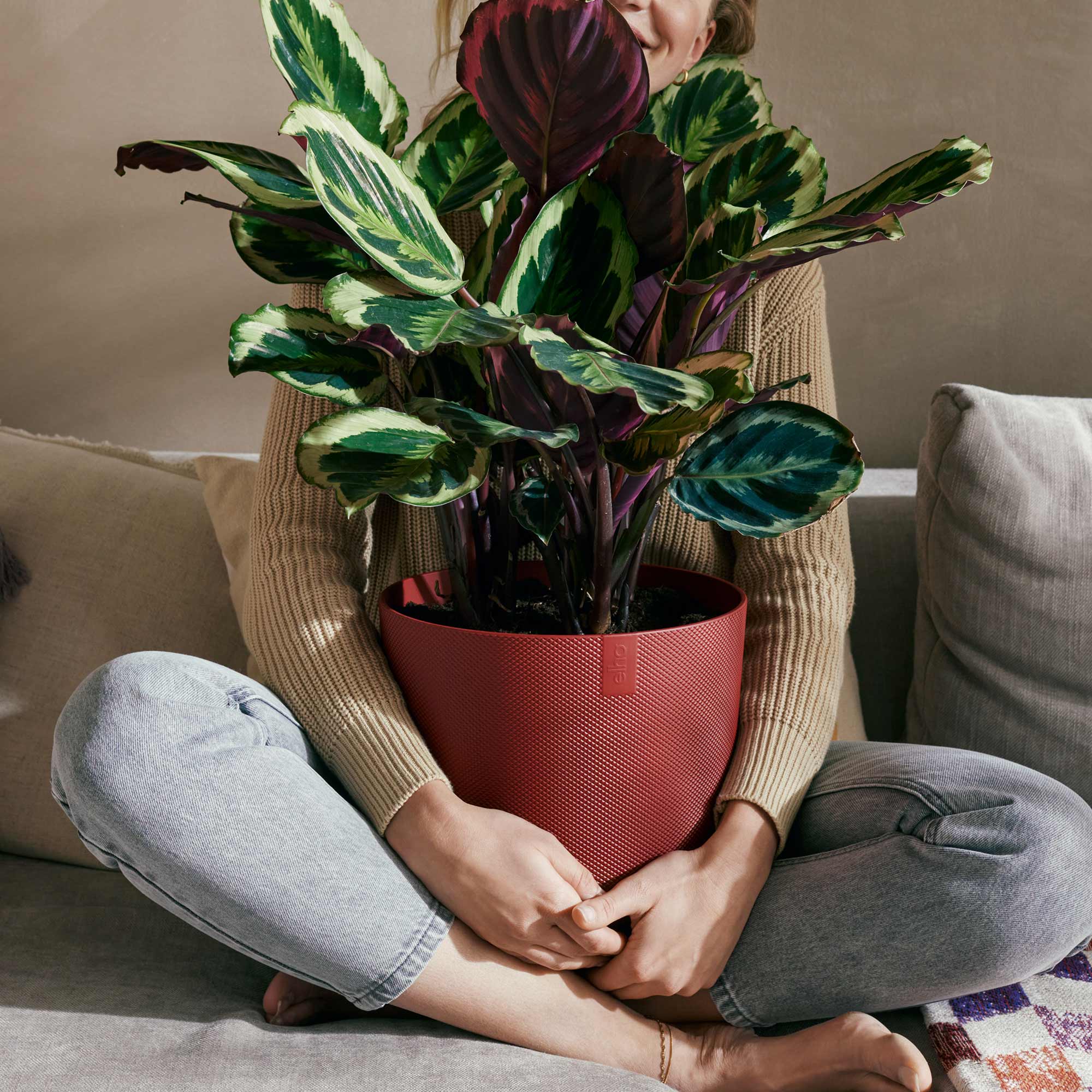 8d26a27691229ff83a749aa7b7c1f0e2