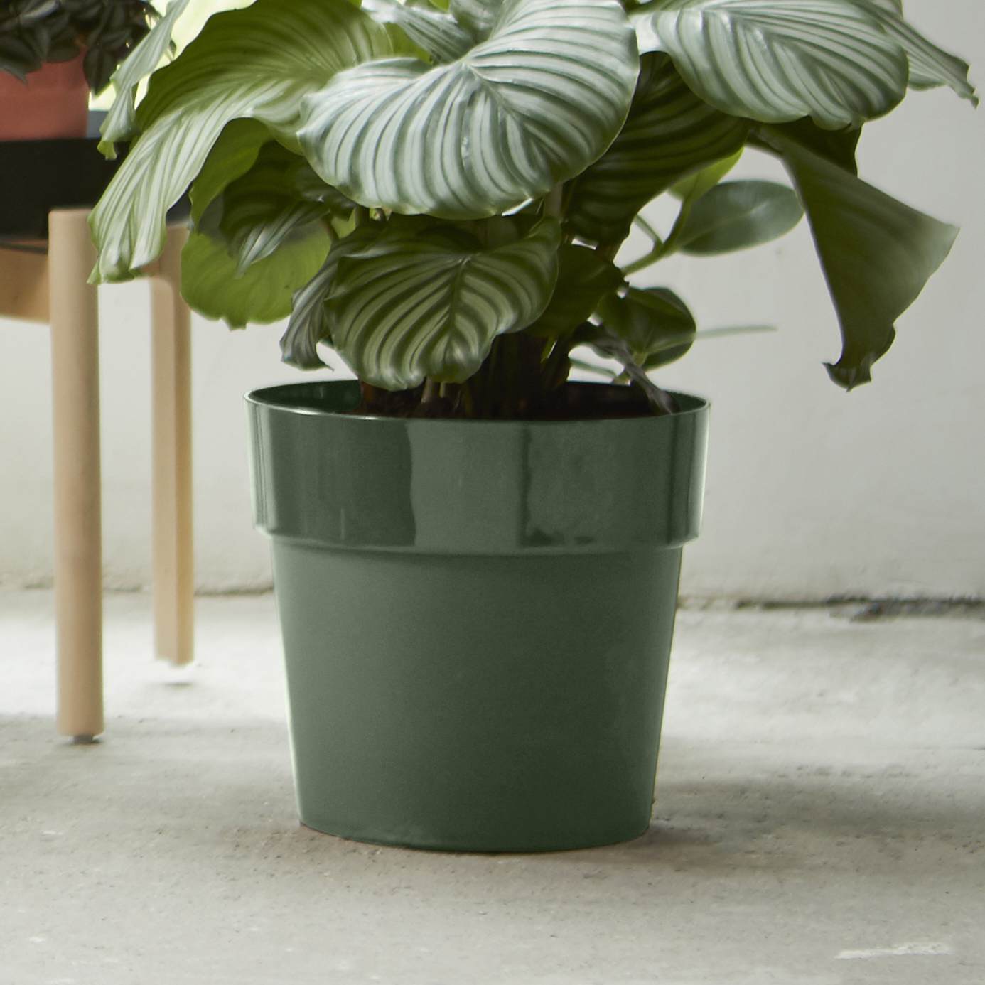 a3bbf0f1459e592adc545749b7406ab7