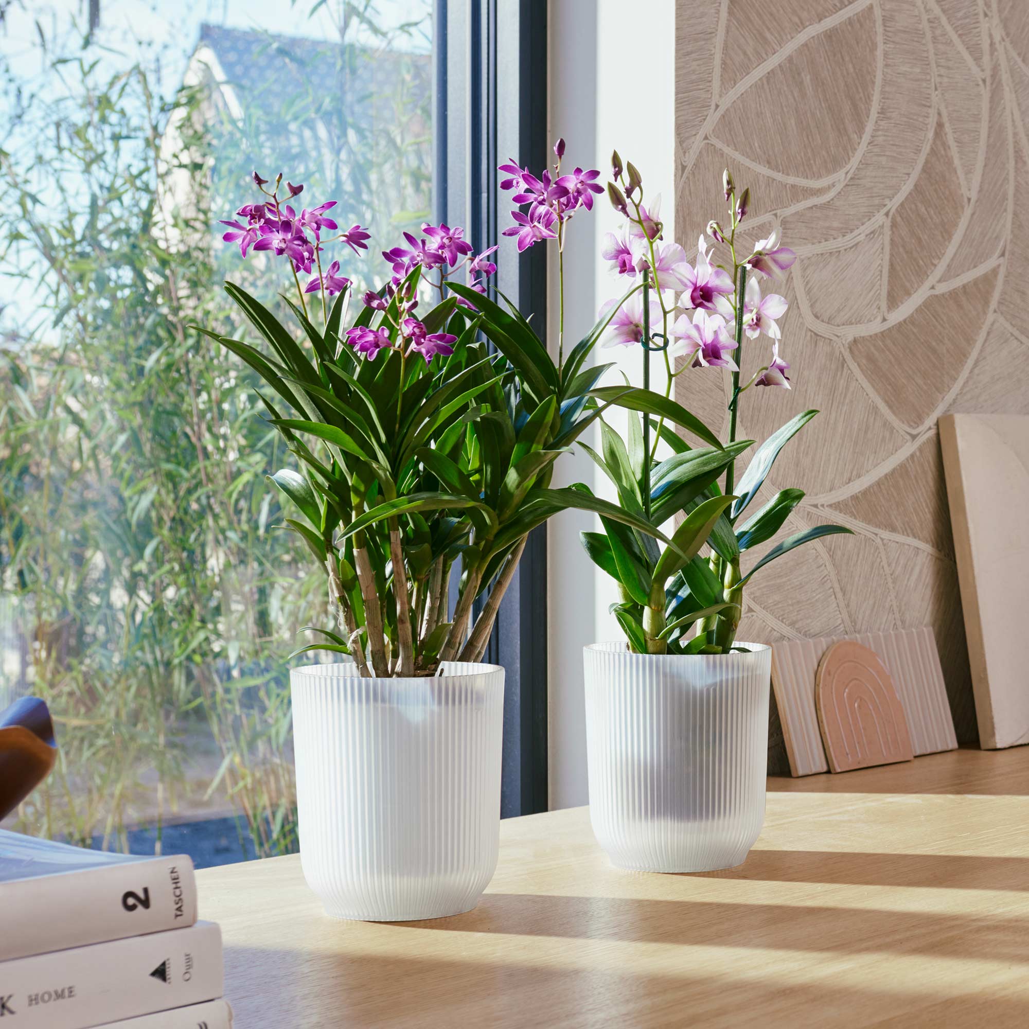 a1e443667d4a93b4710aabd885db2180