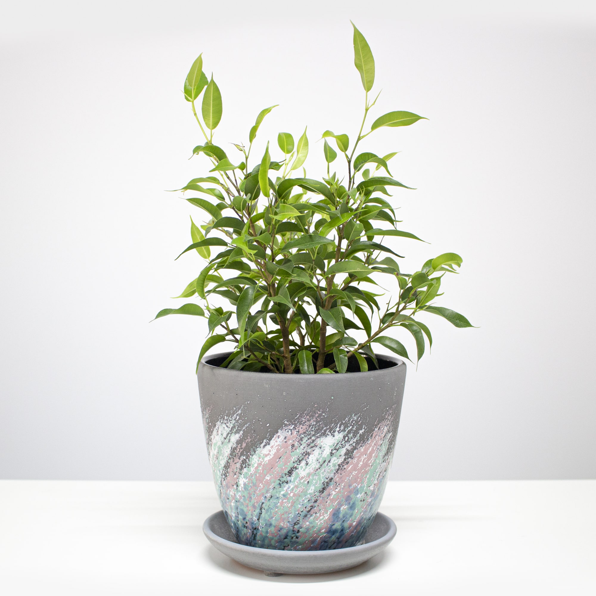 42e95254c4bb3529a93467ad9a4a4d6a