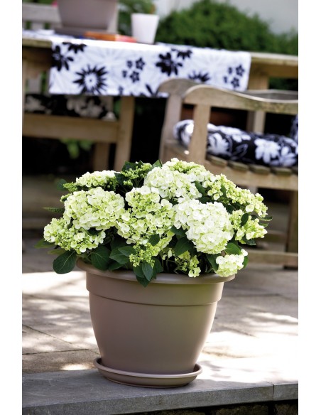 7809ac542690a92860f2e90afc0210b6