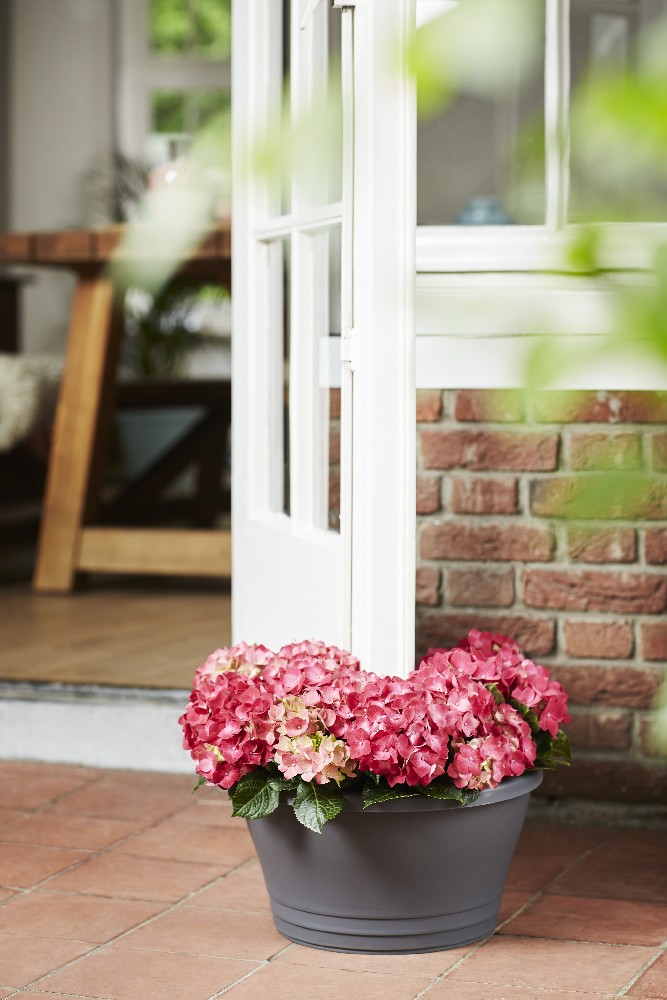 0420190b4d511c501d241cc2889b1bcc