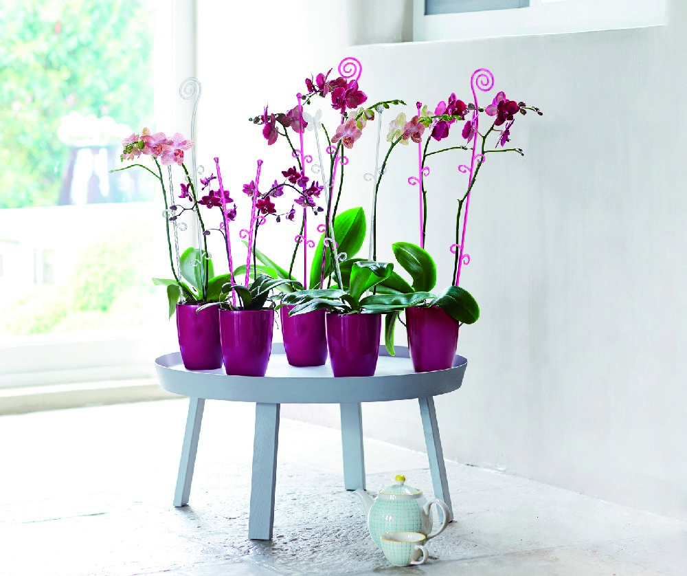 730ec81a090485cf5be76bfb22633e09