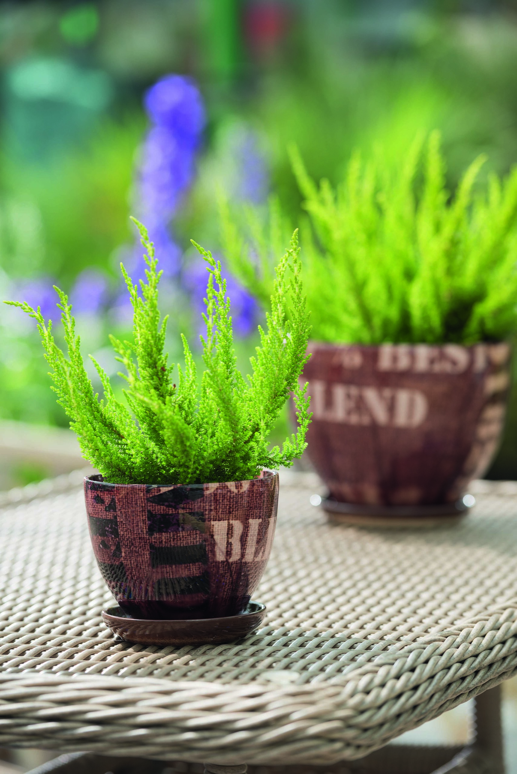 33f3814f06c53e70c8d2ac194bf08f15