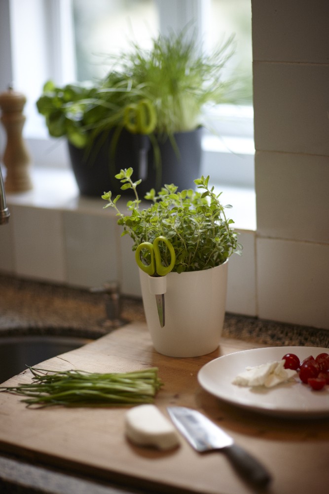 3eae03cca21541ae0433c8260af2e5a7