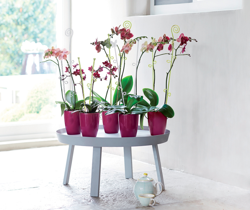 11ad29642c3bf76e43ff2985a2894355