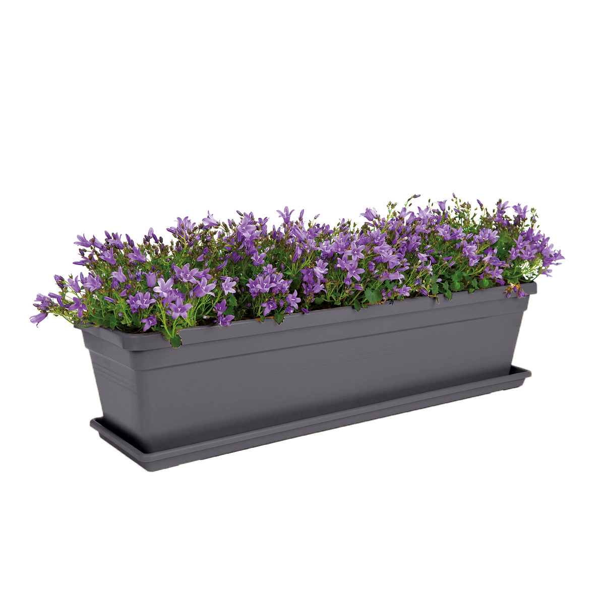 bd2e0baa0043bec5060c8443e3805a38