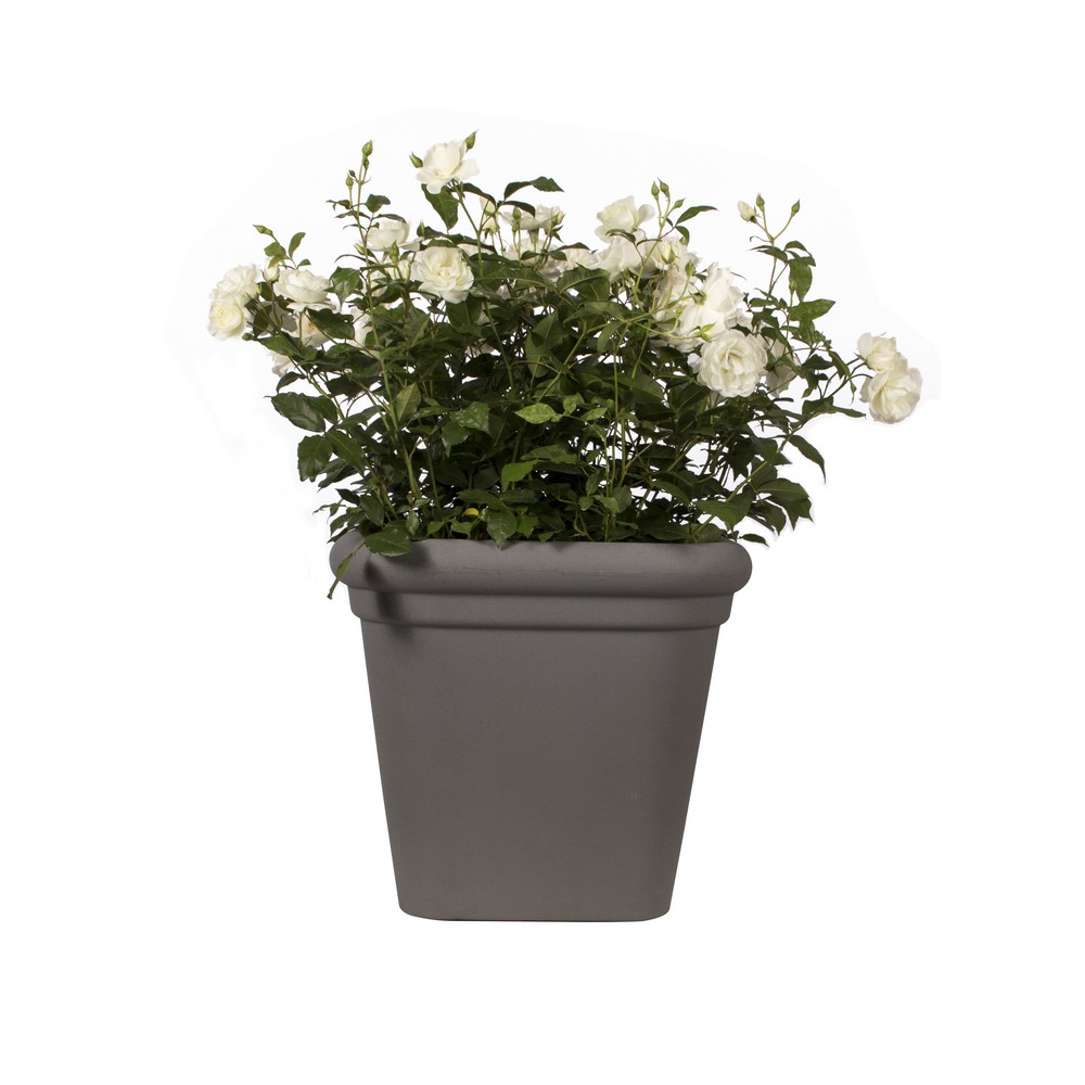 46ec80f59d4679998854da72b1414993