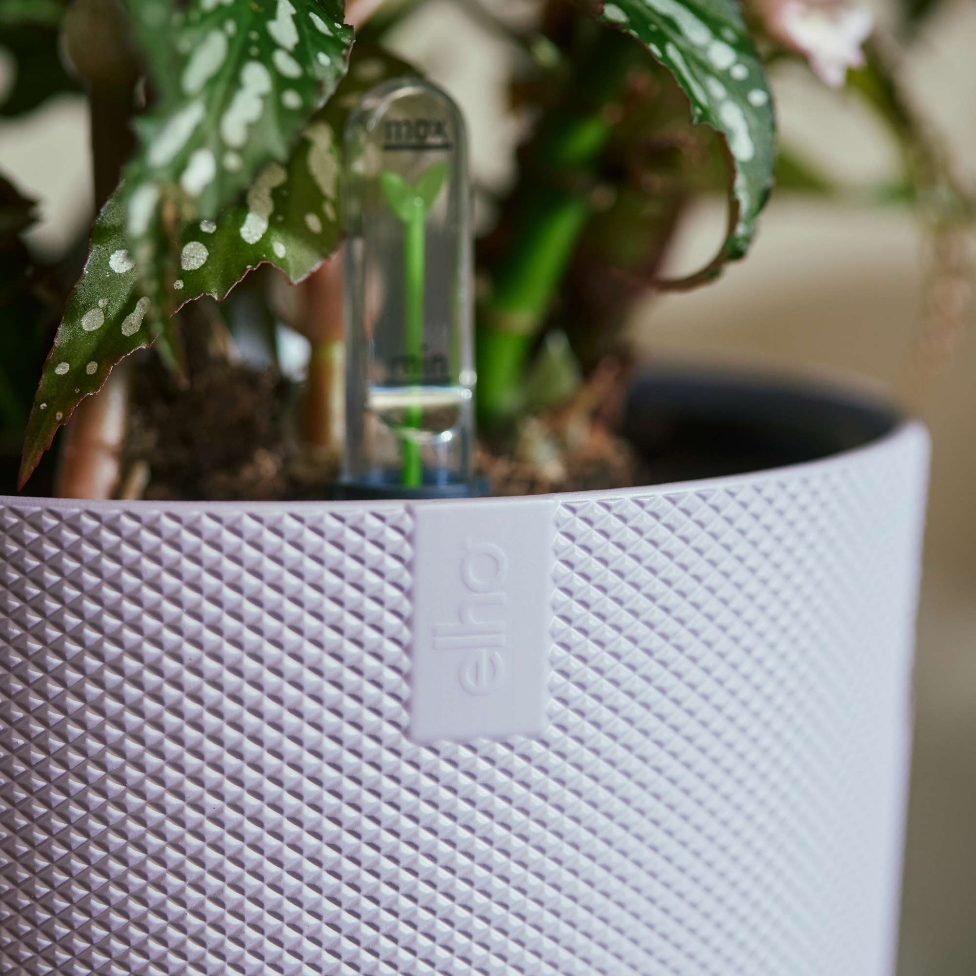 084ace690ea69250c77732d9724f352e