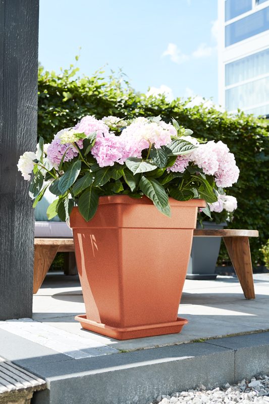 e8e94b141050d02c0afdfaefba62d88f