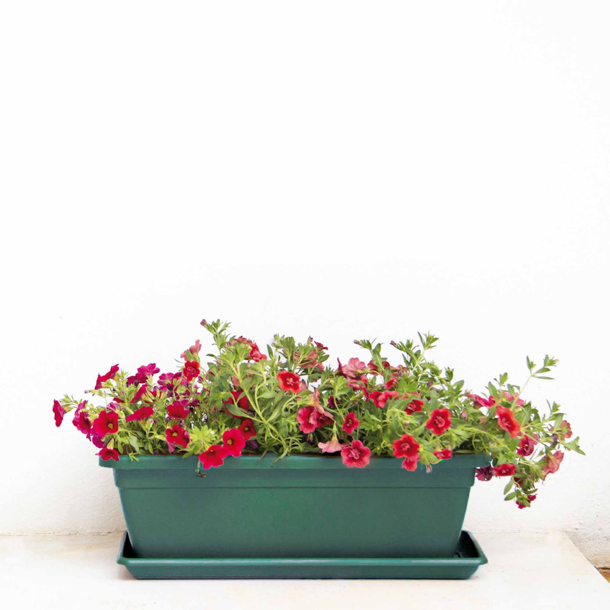 c87bc4e6780f8cdf34bf7dbff21f73e4