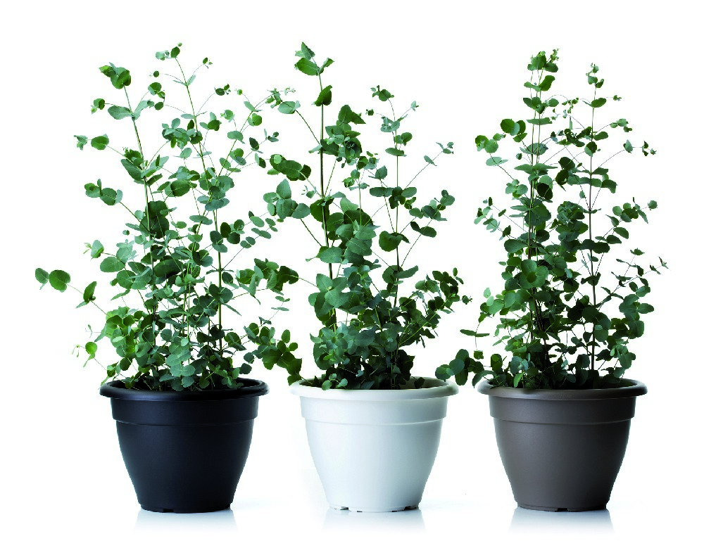 03f322d88df43d46c1f1d4433115fc96