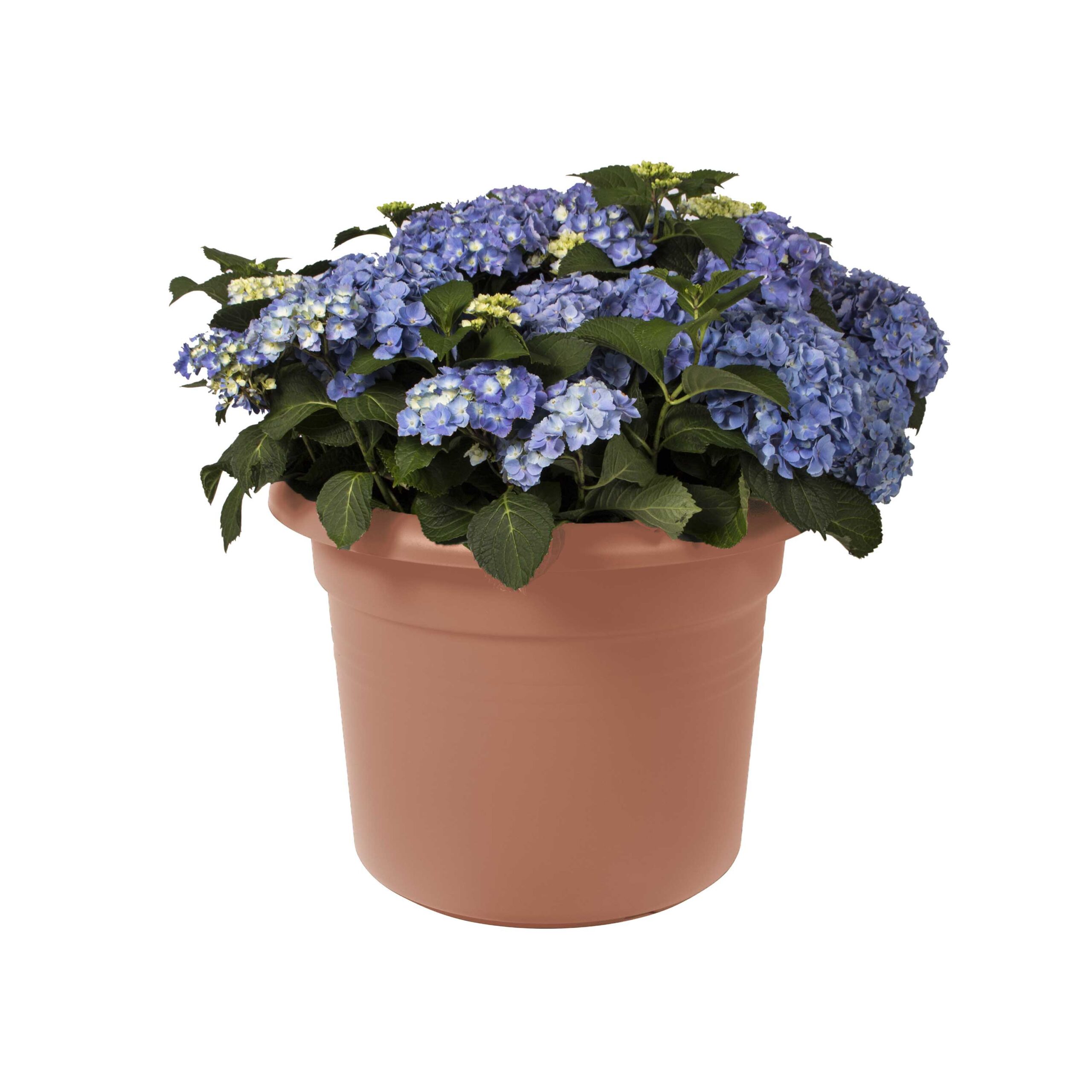 a021fe4eca361a7f7c942031986896f9