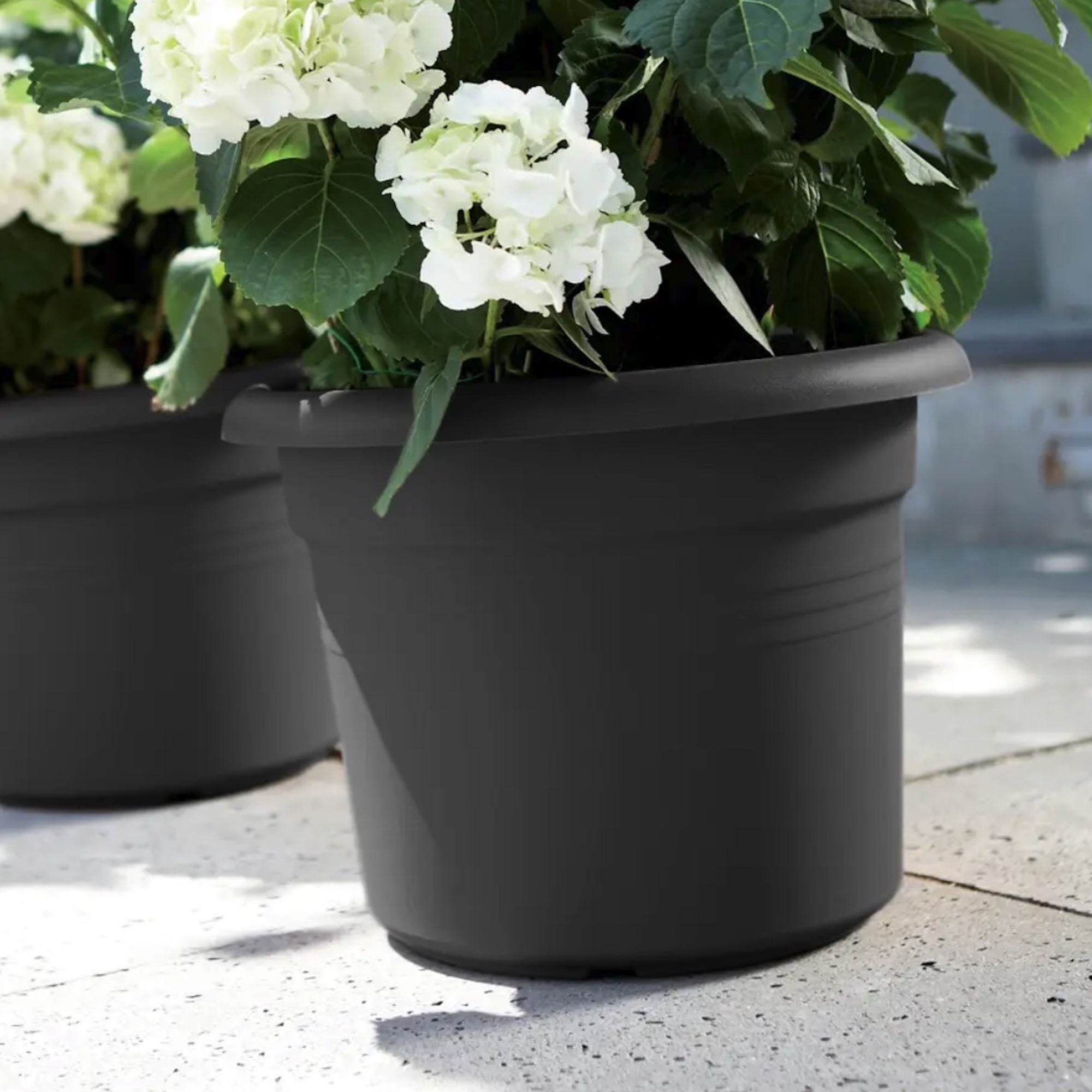 37eb85e32014fa00932d579c2e50d98a