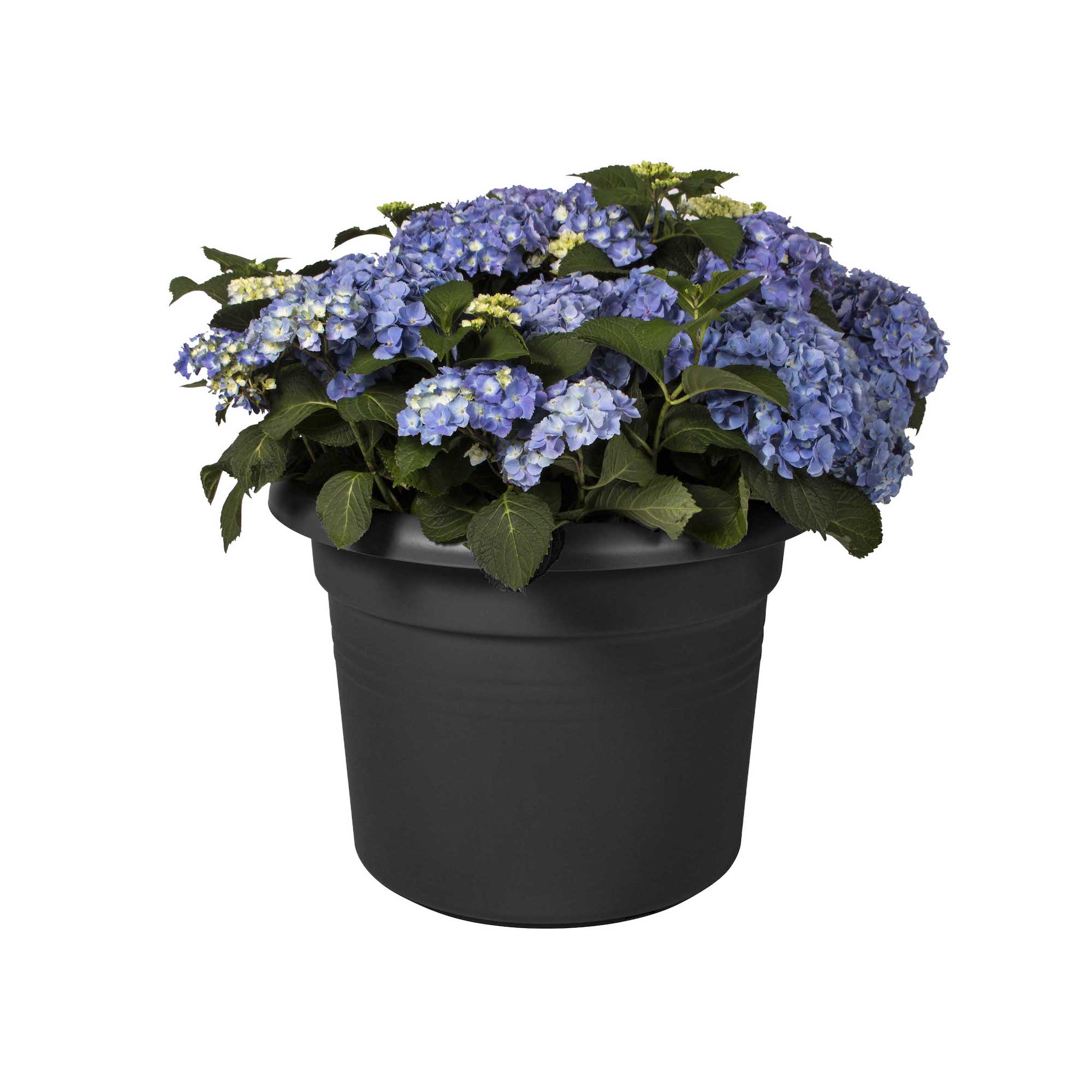 4189c41415bdb28b1b5877aeaf34da46