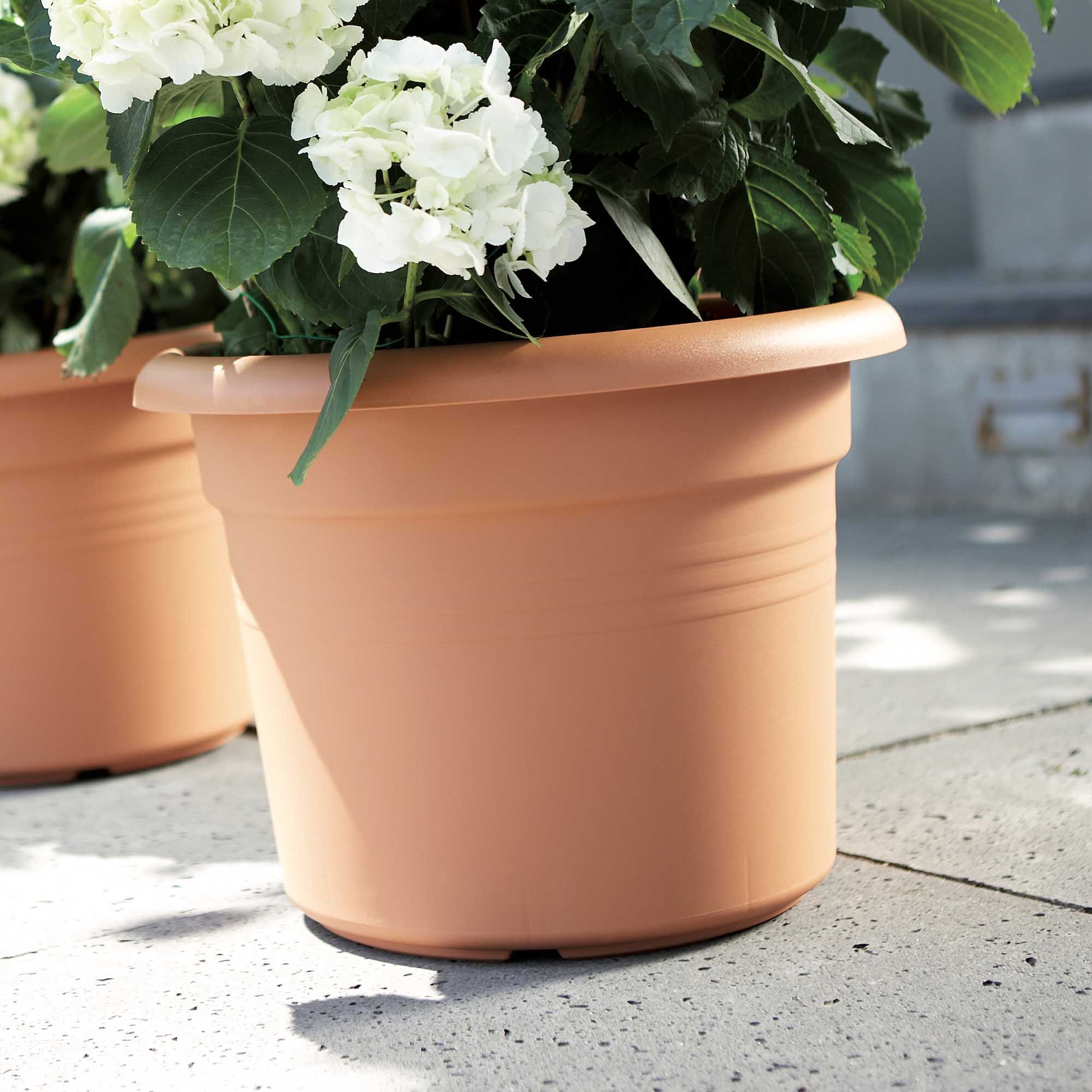 e3948b5f821b11f7119be2855785bdc8